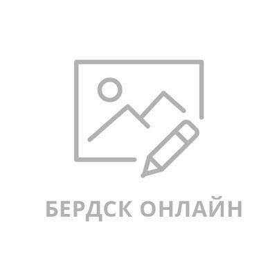 Мэр Бердска Потапов вошел в рейтинг 100 лучших мэров России